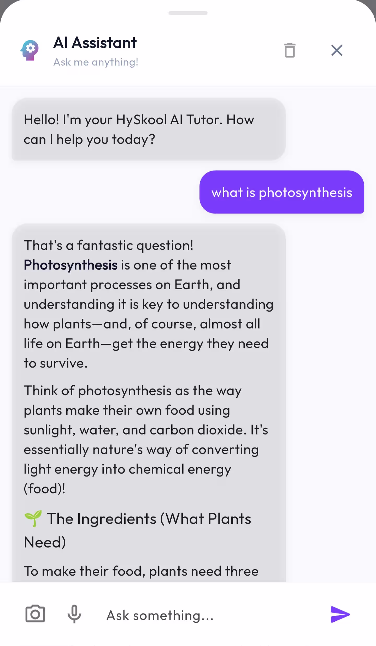 AI Assistant
